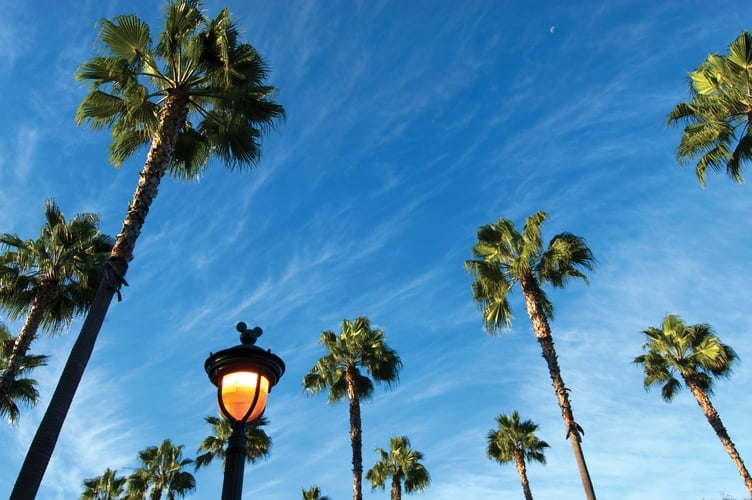 Vacations from Dallas-Fort Worth to Anaheim